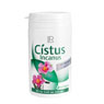Cistus Incanus