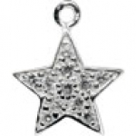 Sammel-Charm „Twinkle Star“ / Pendant „Twinkle