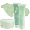 Algetics - Algen-Hautstraffungs-Set