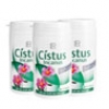 3er Set Cistus Incanus