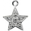 Sammel-Charm „Twinkle Star“ / Pendant „Twinkle