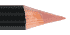 Sparkling Coral