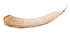 Magic Beige